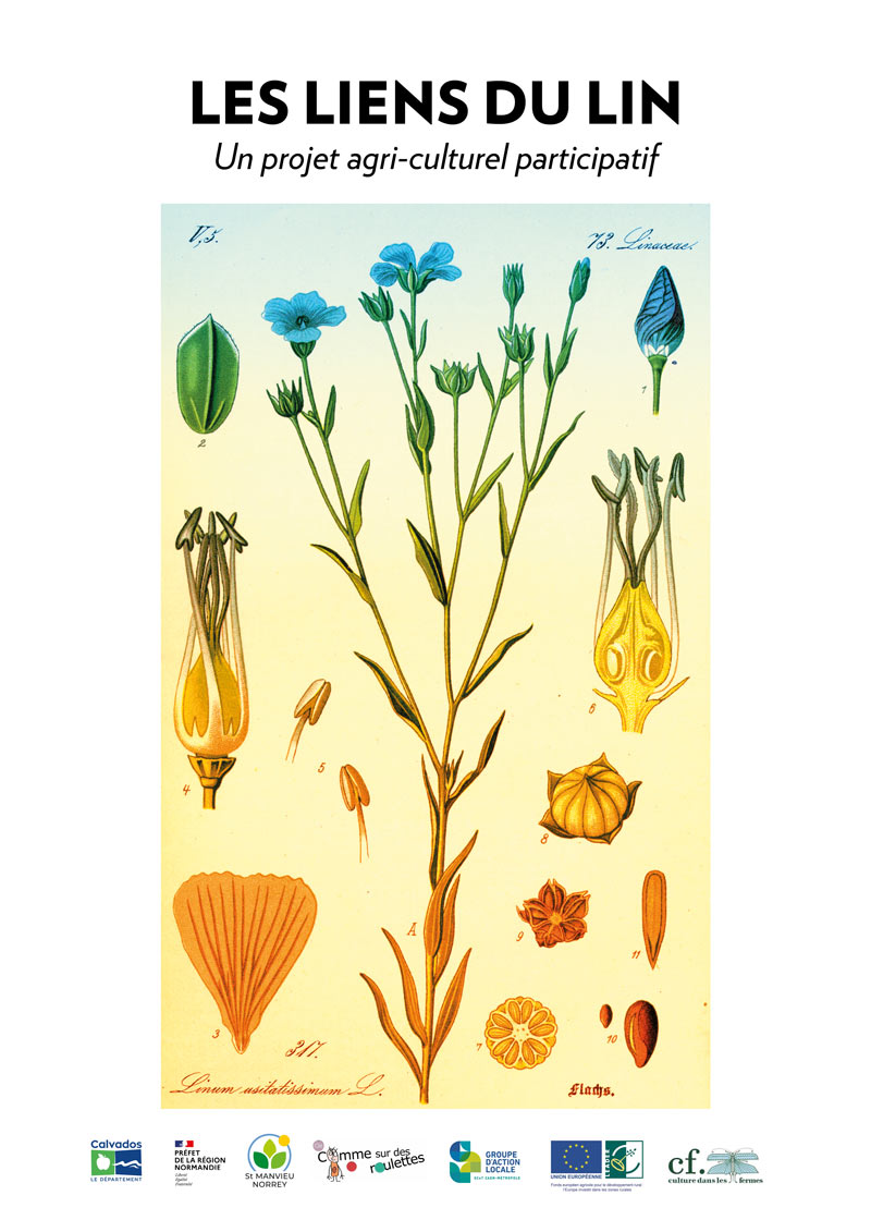 Les liens du lin